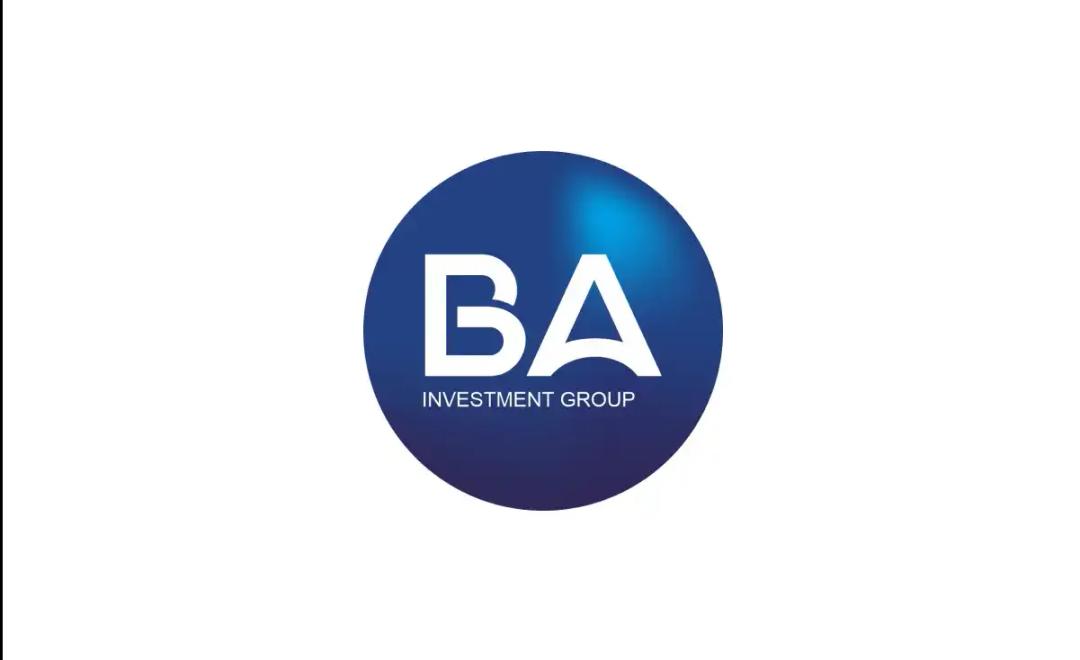 B.A. Investment Group